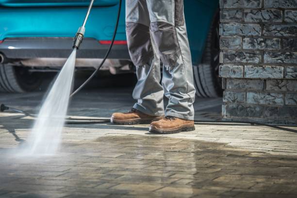Best Soft Washing  in Ogden Dunes, IN