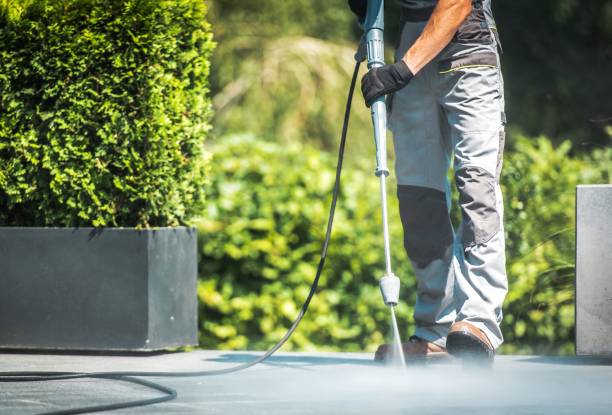 Best Spring Cleaning  in Ogden Dunes, IN