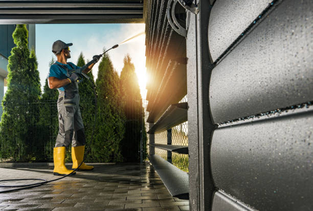 Best Graffiti Removal  in Ogden Dunes, IN