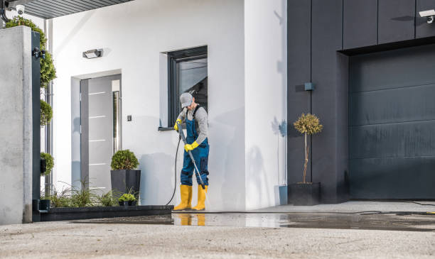 Best Animal Enclosure Cleaning  in Ogden Dunes, IN